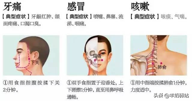 18种常见病特效药,88个特效穴位治疗常见病集锦