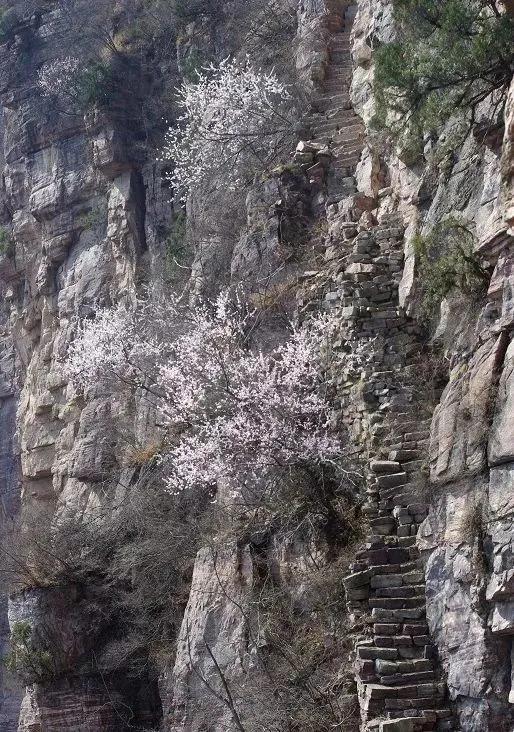 南太行著名天梯盘点,你走过几个