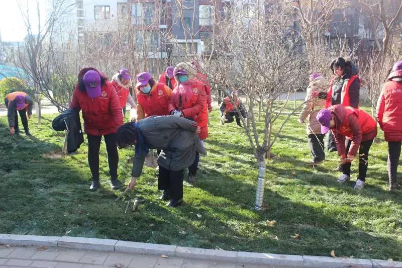 宝翠花都社区,宝翠花都社区情况