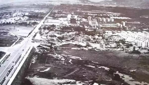 40年的经典语录,40年一句话