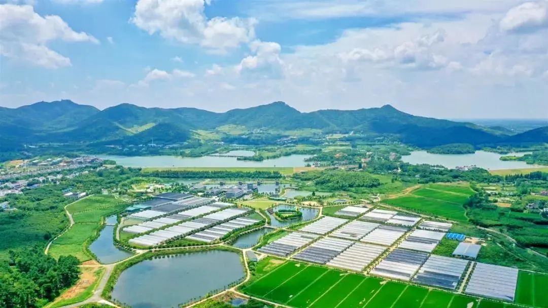 100条红色经典旅游线路,常州横林余巷红色旅游