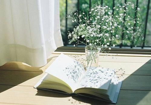 叔本华说最值得读的书,叔本华谈关于读书