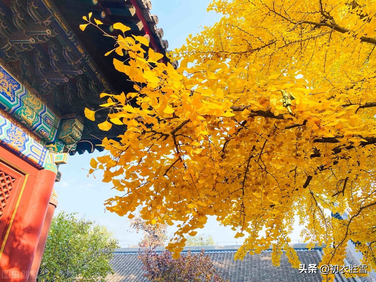 纳兰性德的绝情诗,纳兰性德悲秋诗