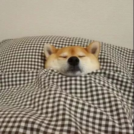 啧啧啧~断绝它的“性”福之路前你有仔细考虑吗？