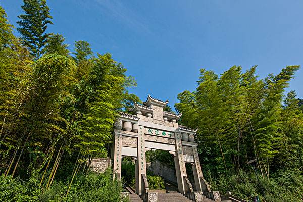 茶园和竹海生在一起会是什么样的美景？重庆永川茶山竹海给你答案