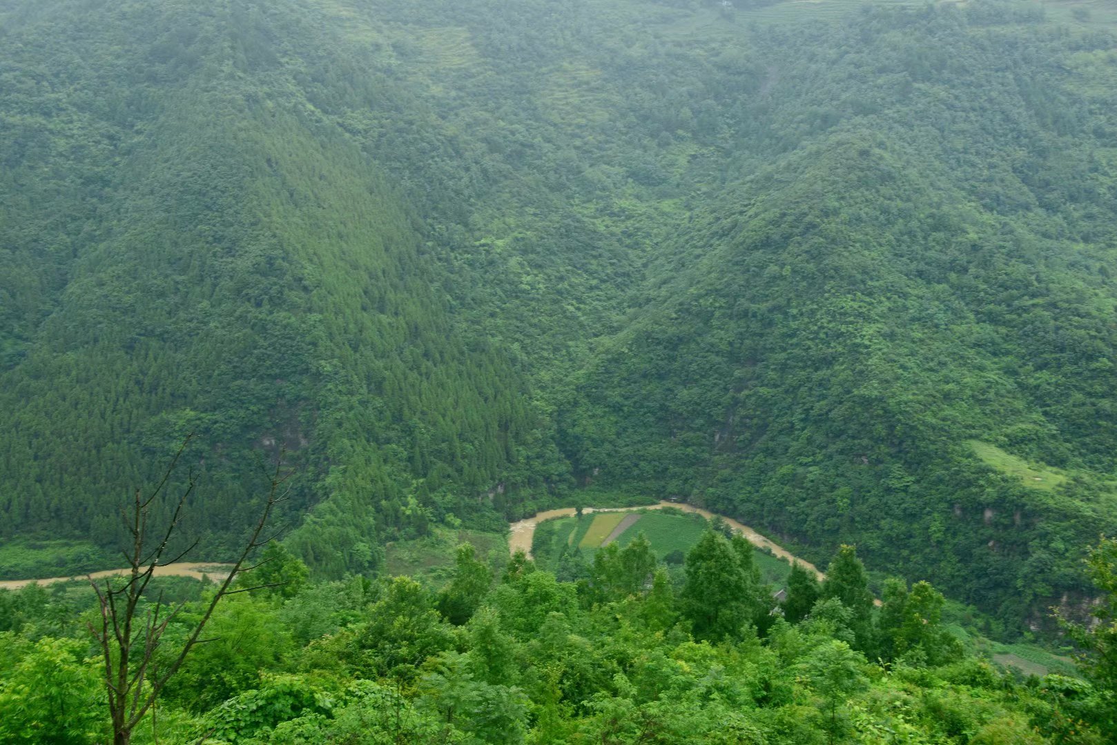 六月回忆儿时校园,六月回忆童年