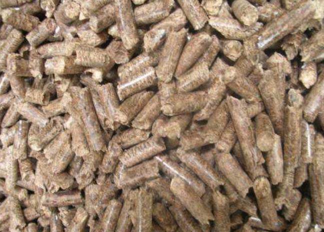 你还不知道的创业新项目,你还不知道的现代食品