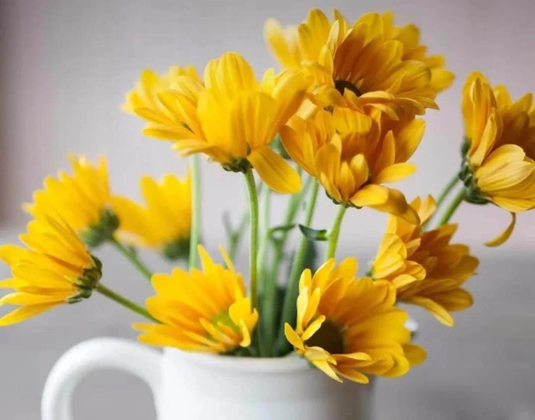 早教中心前期的销售准备工作,早教中心销售怎么样