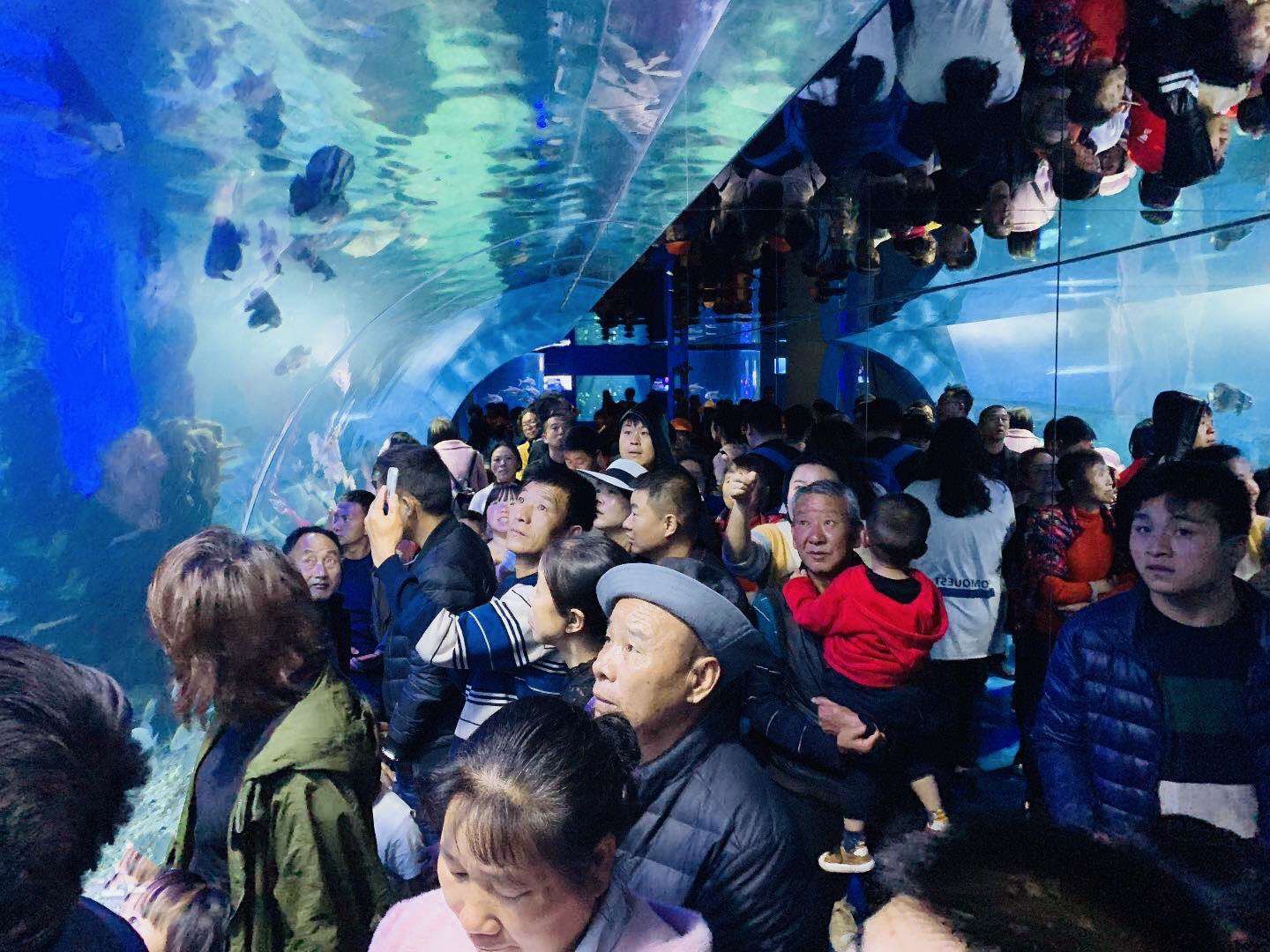 云南有哪些旅游景点分别在哪个市,云南最受欢迎的景点