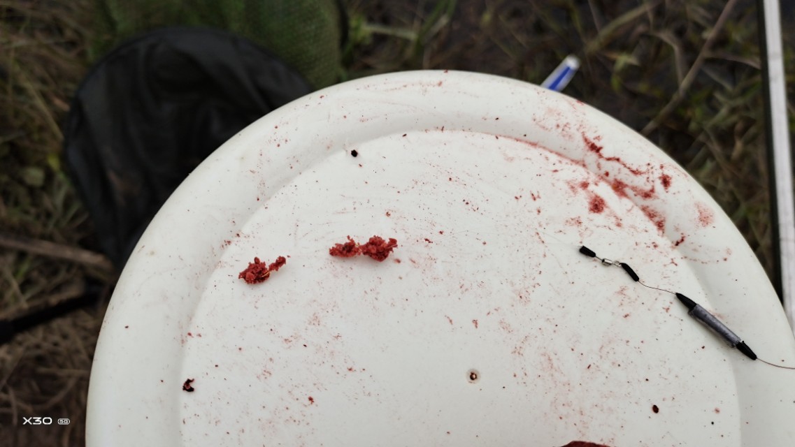 如何钓浮在水面上的鱼,岸钓鲷鱼技巧