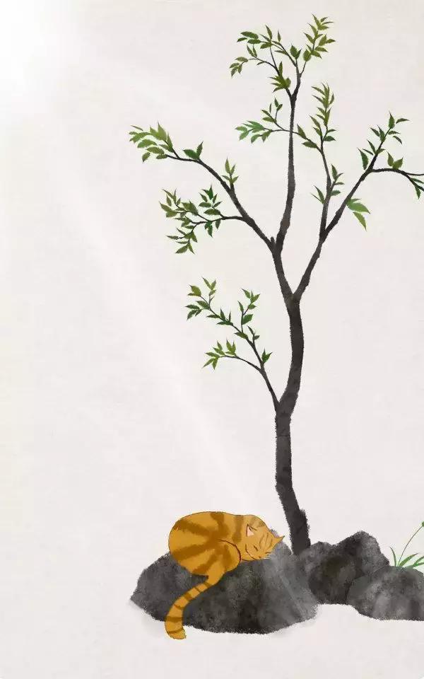 那些熟悉却不知下一句的古诗词,59首只知一句而不知全文的古诗词