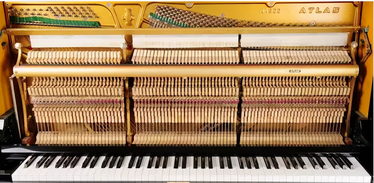 电子琴电钢琴和钢琴的区别,初学者必看电子琴与电钢琴的区别