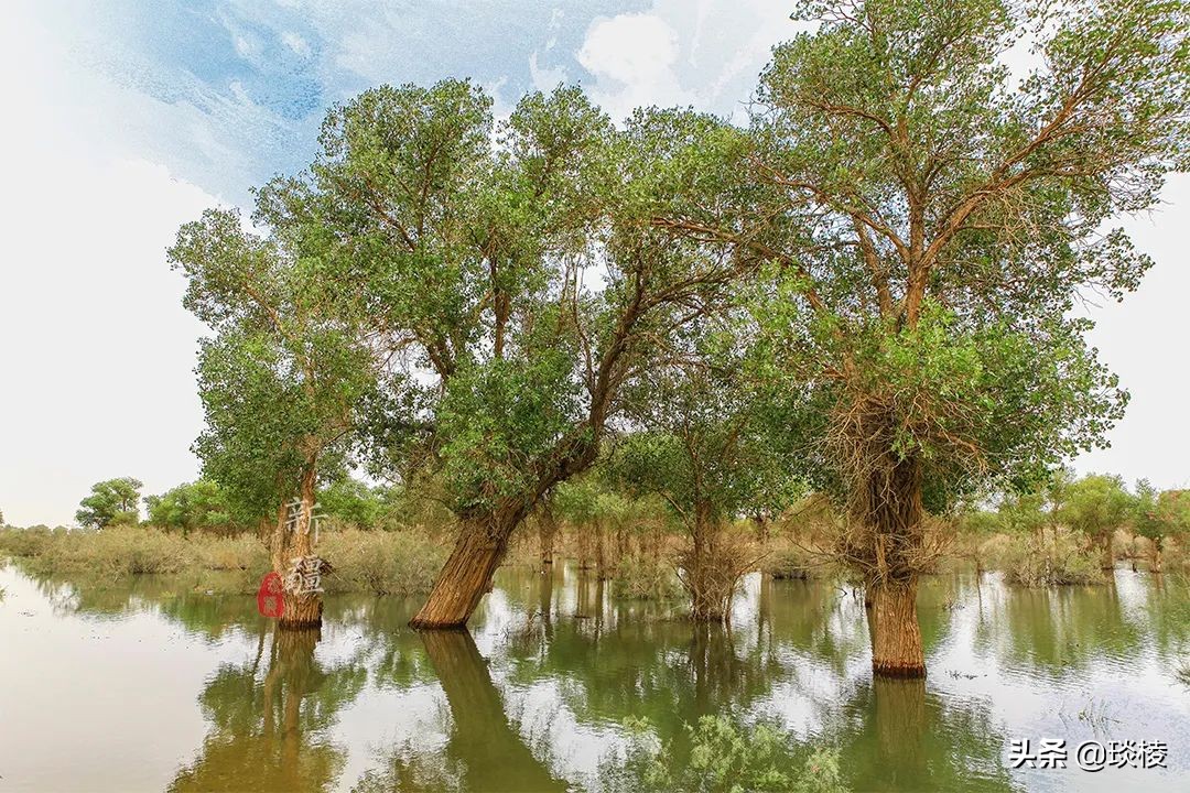 中国66号公路旅游攻略,中国自驾游66条经典线路