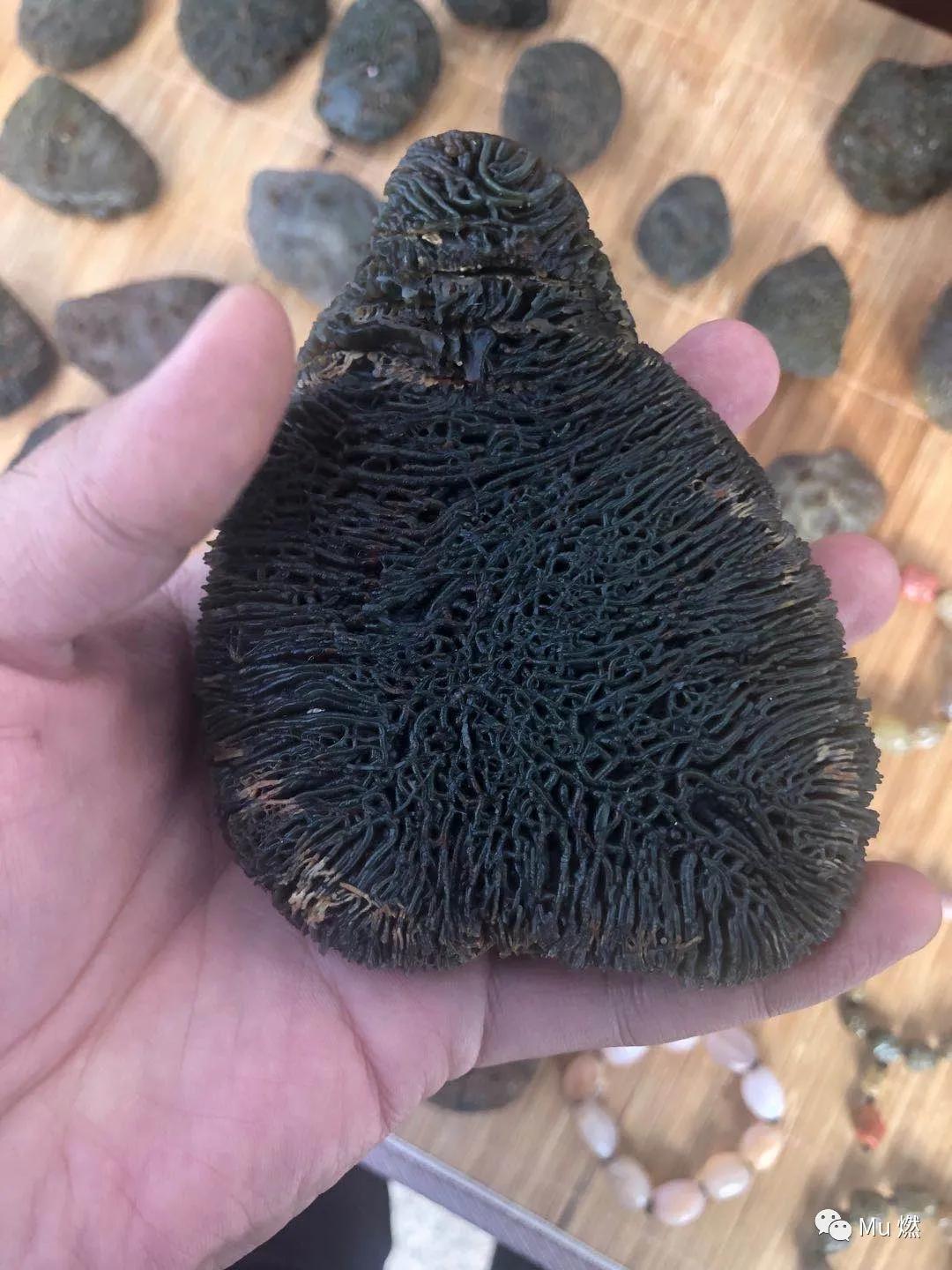 品石之路一百二十六章,品石之路小说完整版