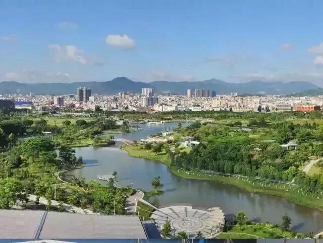 深圳花海景区推荐图片大全,深圳哪里有大片花海