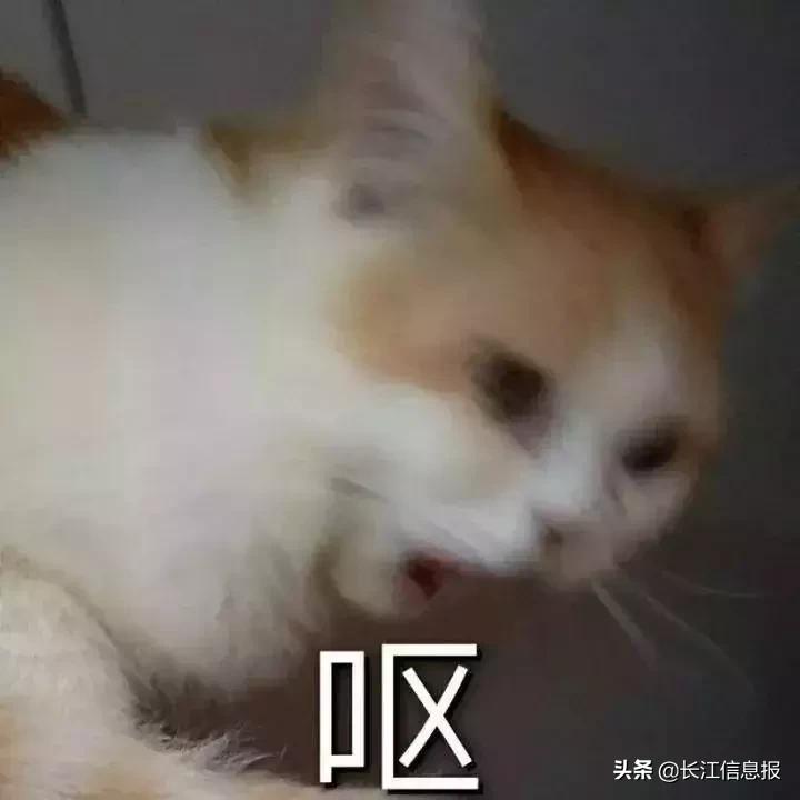 去香港买什么东西会被查,去香港买东西被海关查了会怎么样