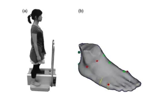 罗马脚不平衡问题,罗马脚希腊脚埃及脚各是什么特点