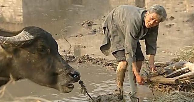 对自己的生活困境有改变吗,如果你对生活感到迷茫