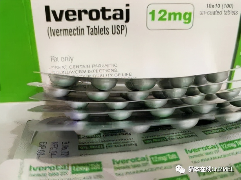 婢虫床鏂板啝绁炶嵂,婢虫床娌绘柊鍐犵殑绁炶嵂