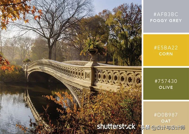 设计色彩总结200字左右,设计配色6种颜色