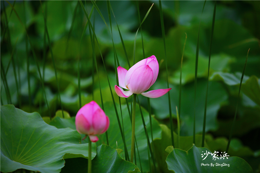 苏州红色革命旅游景点图片,苏州红色革命景点介绍视频