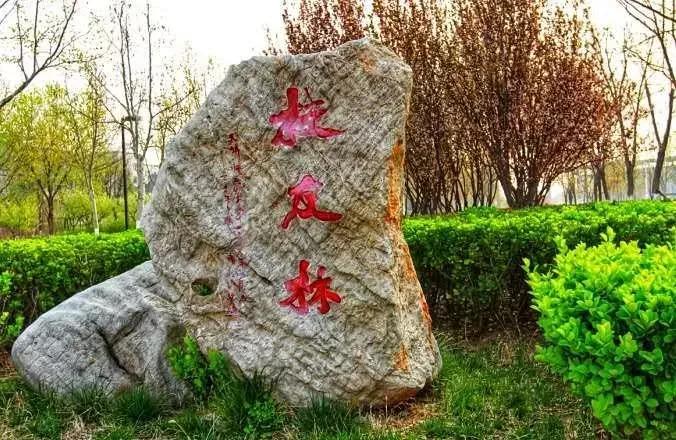 天津市普通高等院校,天津师范高等专科学校