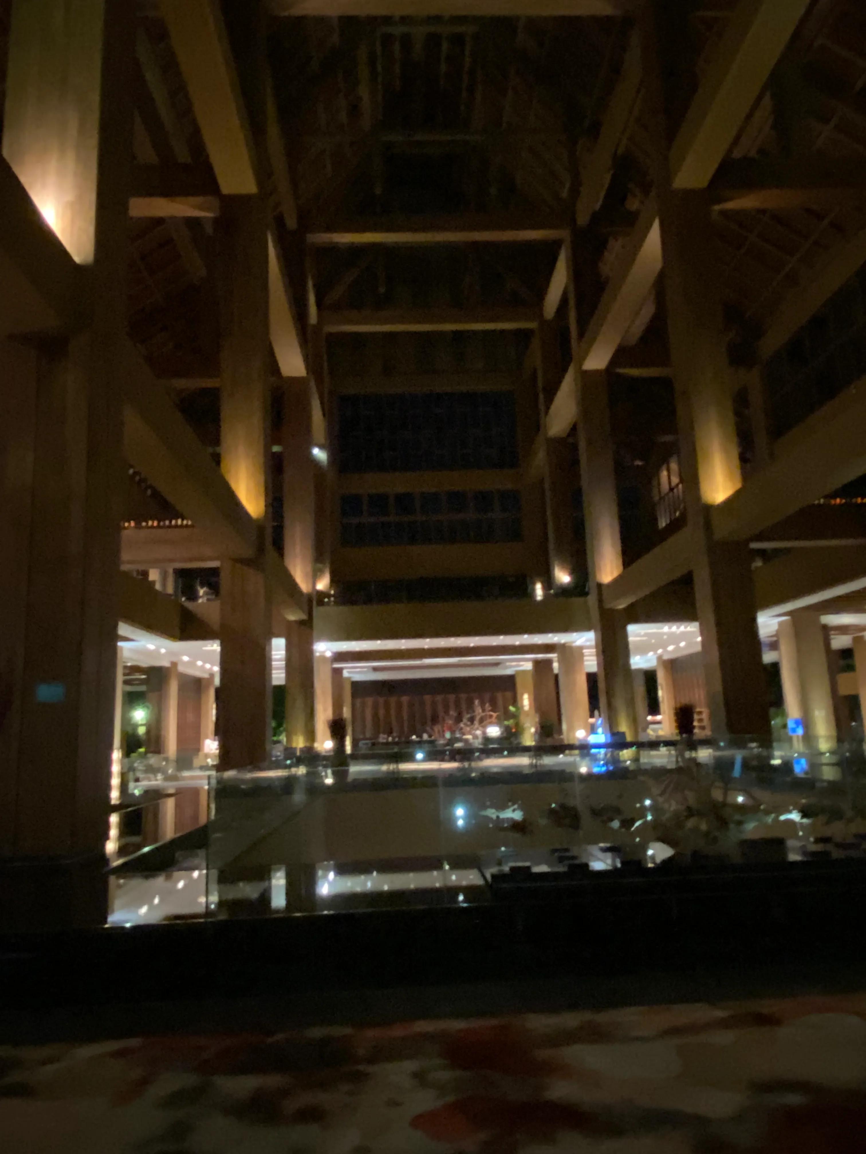 三亚红树林大王棕酒店免税店怎样,三亚湾红树林椰林酒店预订