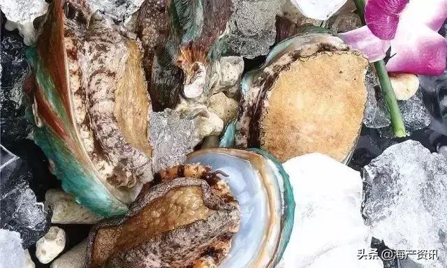 市场上最常见的十种淡水鱼,中国十大水产品排行榜