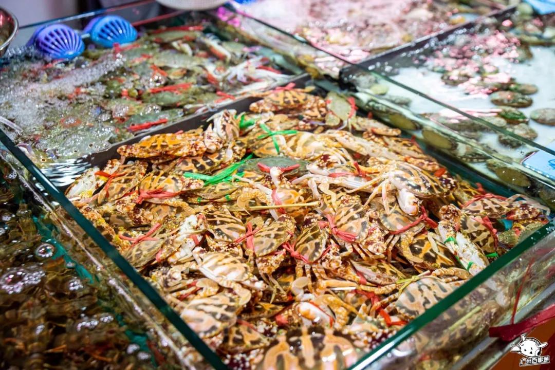 广州沙园菜市场价格,广州沙园菜市场水果