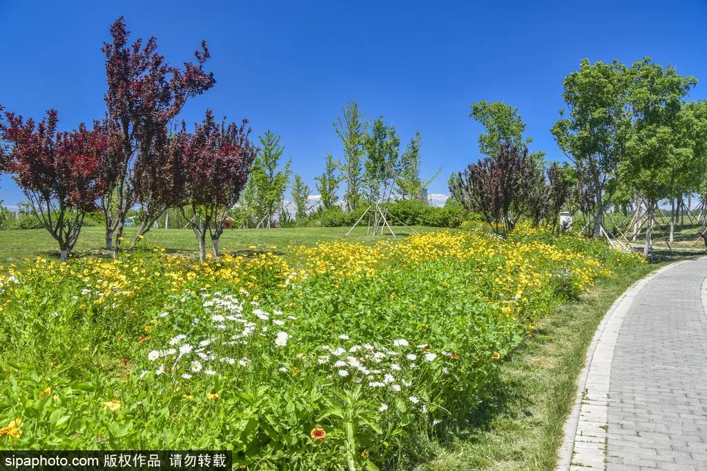 北京坐着不动的景点,网红公园北京三里河公园