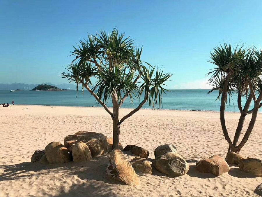 惠州泡泡海海景房价格,惠州泡泡海沙滩三天两晚住宿