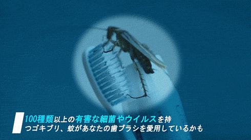 亚马逊smile电动牙刷,亚马逊2代电动牙刷