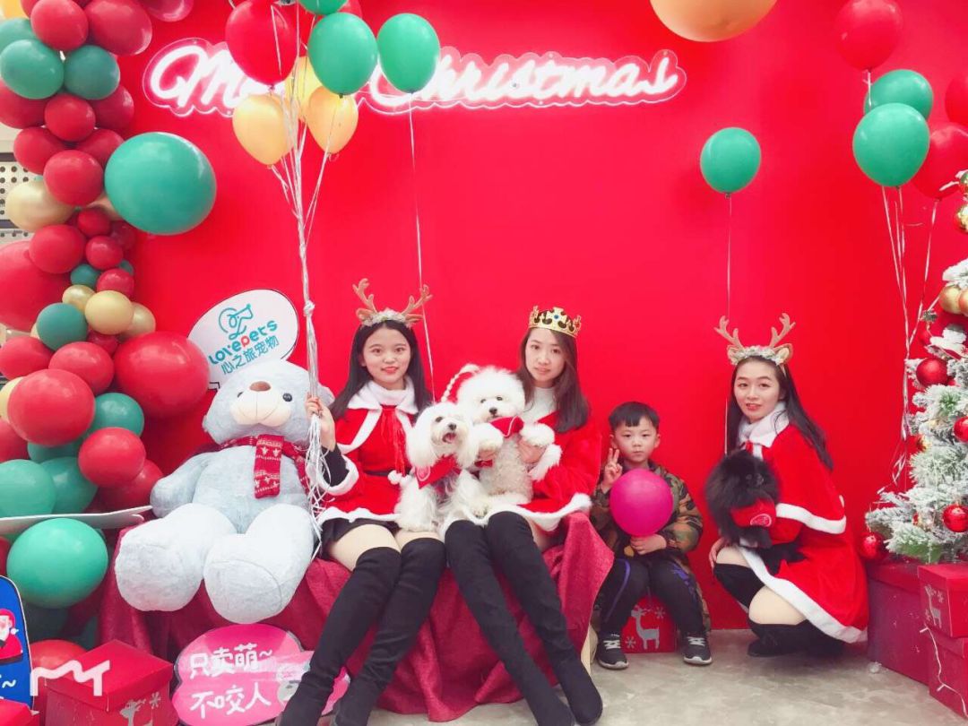 开宠物店成都哪里最好卖,成都最大宠物连锁店