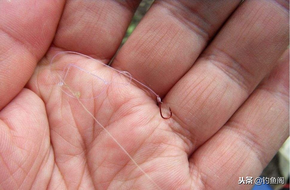 钓鱼新手的忠告,钓鱼千万要警惕的五件事