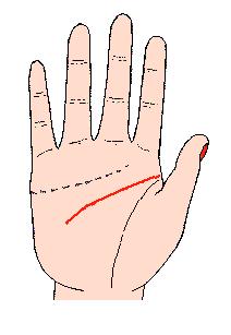 看手相可以预测什么,手相能预测考试吗