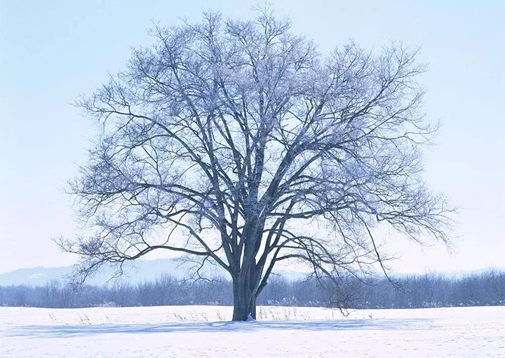 道德经第五十二章治水译文,孙健道德经第五十二章原文及译文