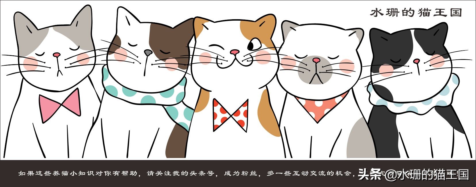 猫气管炎和猫哮喘的区别,猫哮喘会怎么治疗