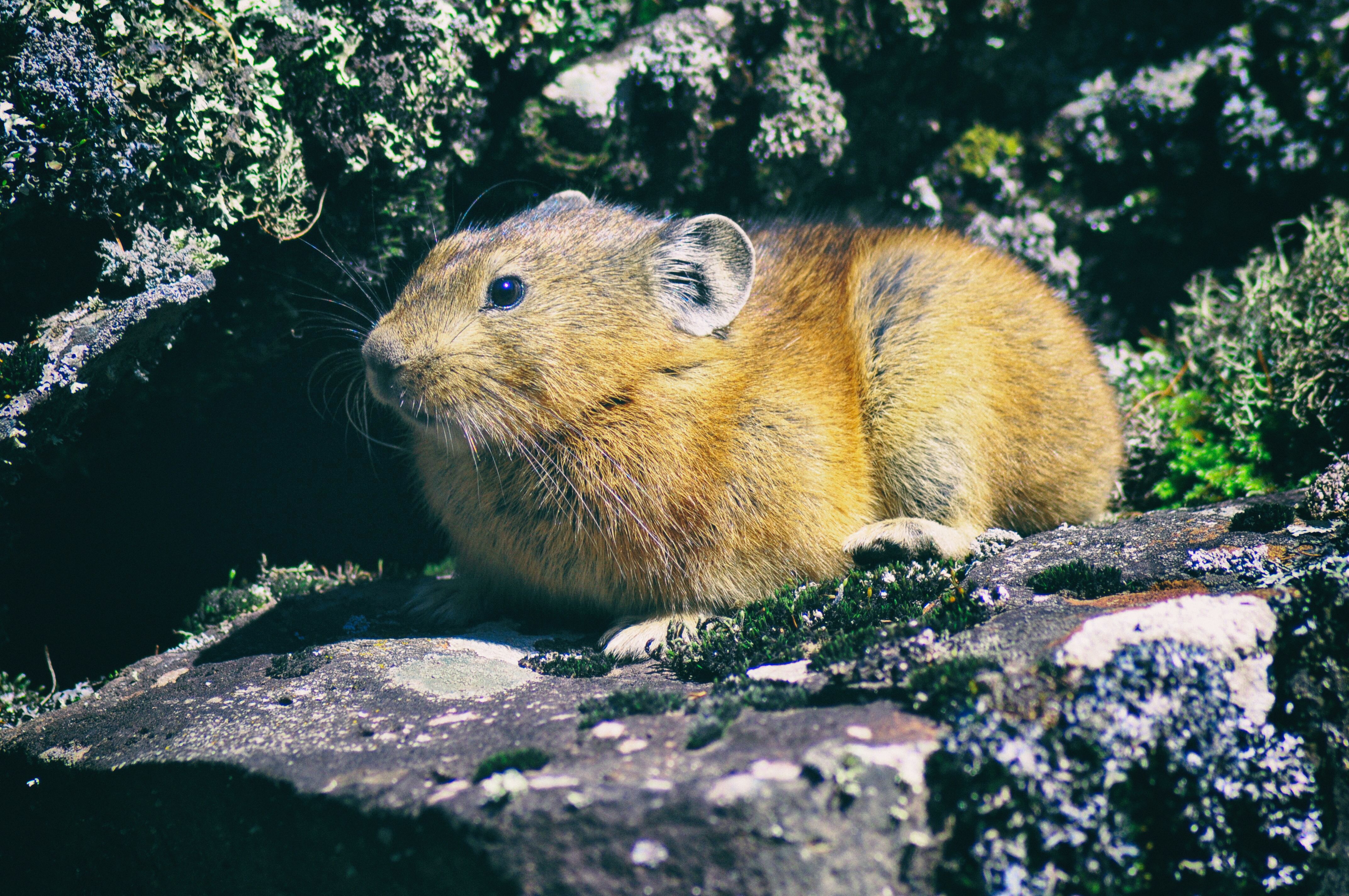 一次特别的东北旅行,历时18天的东北边境行