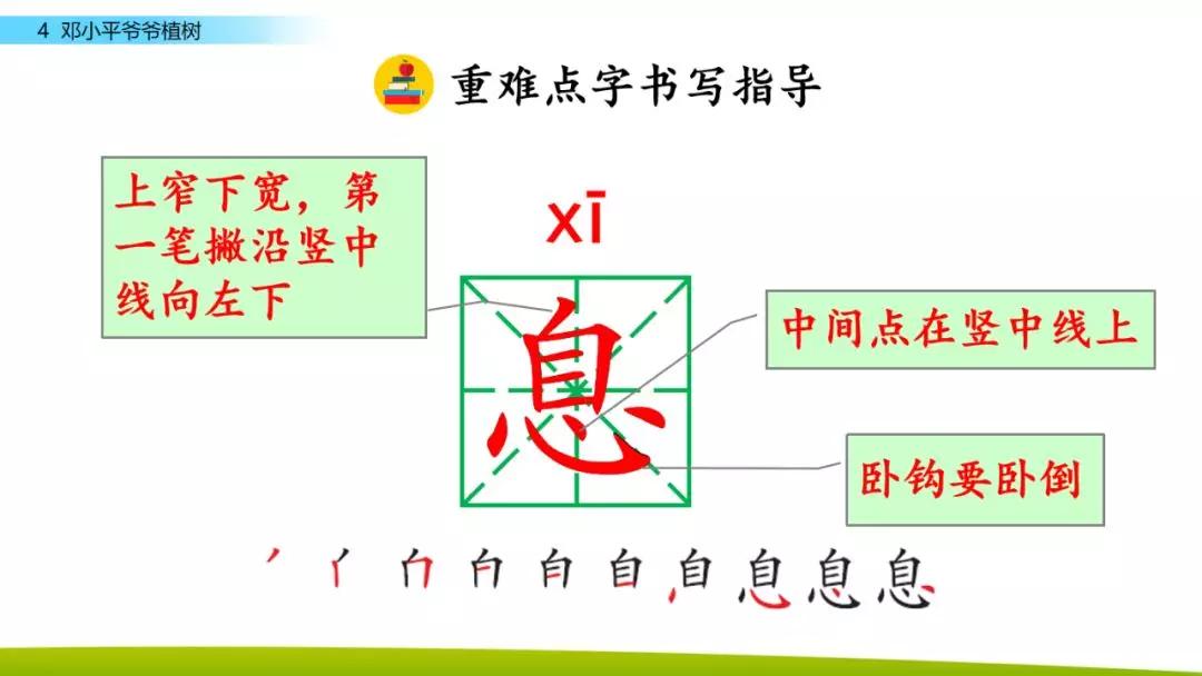 部编版二年级下册语文第4课《*小平邓**爷爷植树》知识点+图文讲解