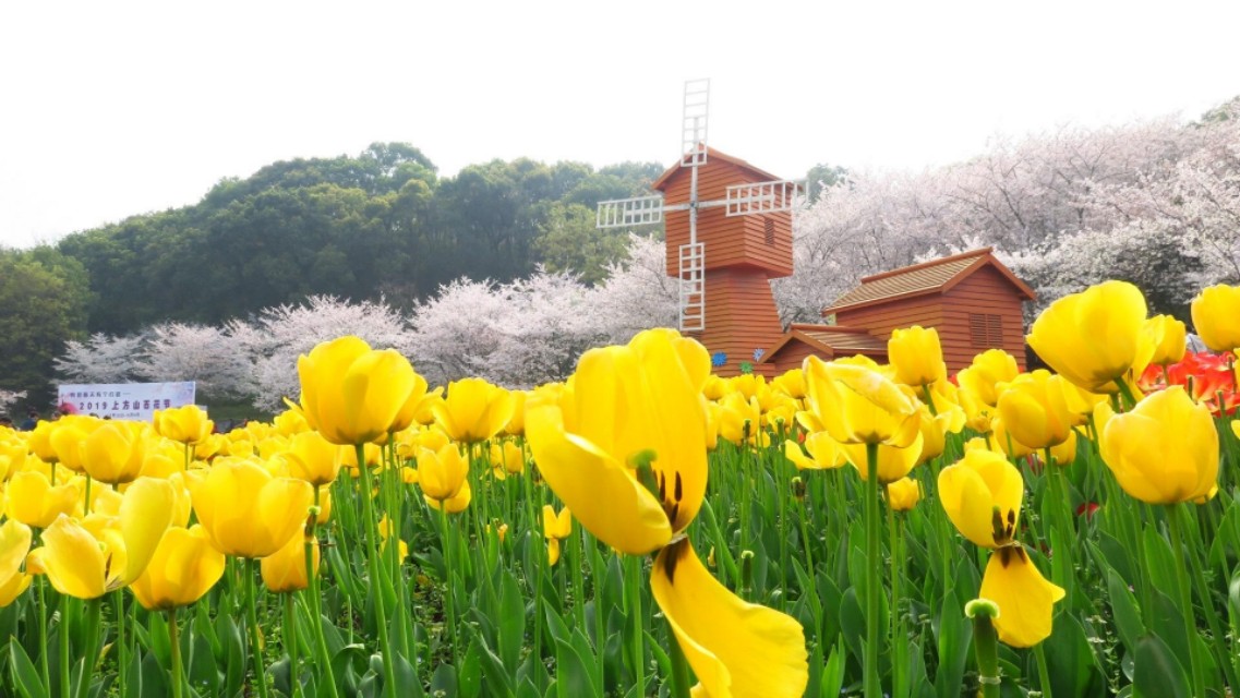 苏州上方山国家森林公园地图,苏州上方山国家森林公园航拍