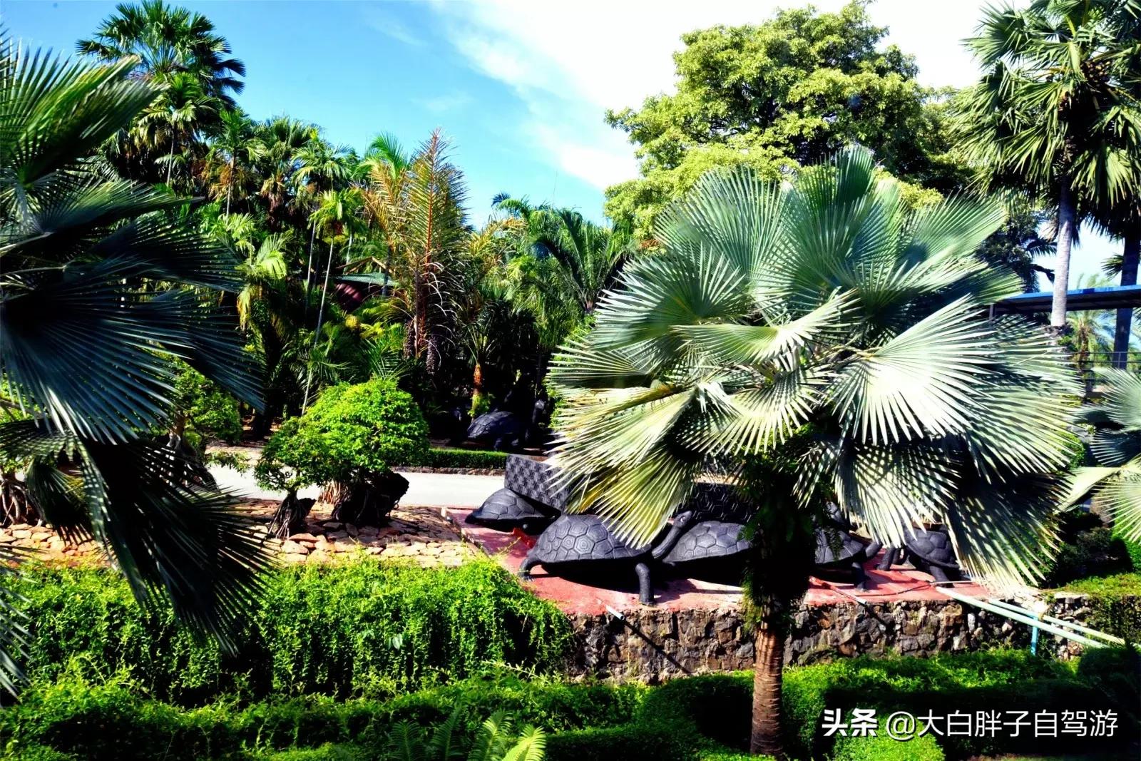 泰国风情之旅完整版,泰国风情记