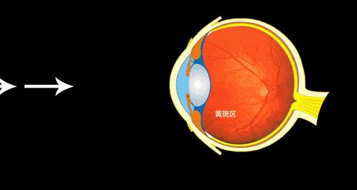 海信激光电视高清护眼和健康护眼,海信单色和三色激光电视