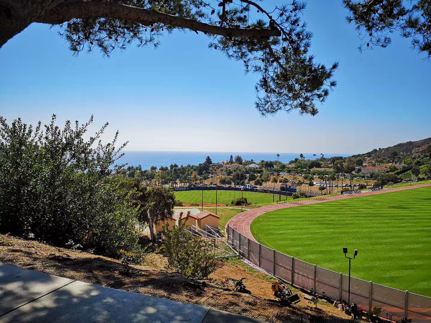 美国物理治疗专业，医学专业学生首选