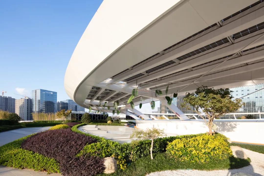 太平鸟时尚中心景观设计,自由的鸟巢