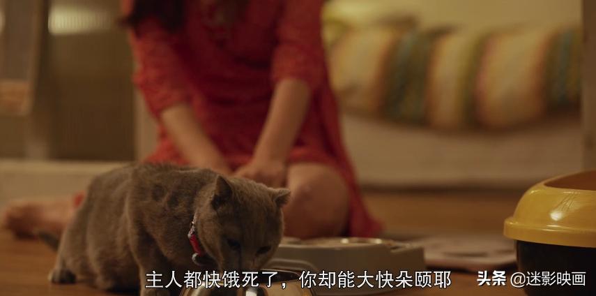 网飞版生化危机第二季,网飞高分剧超感猎杀