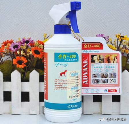 宠物生病用什么药治疗好得快一点,宠物生病后吃什么药好得快些呢