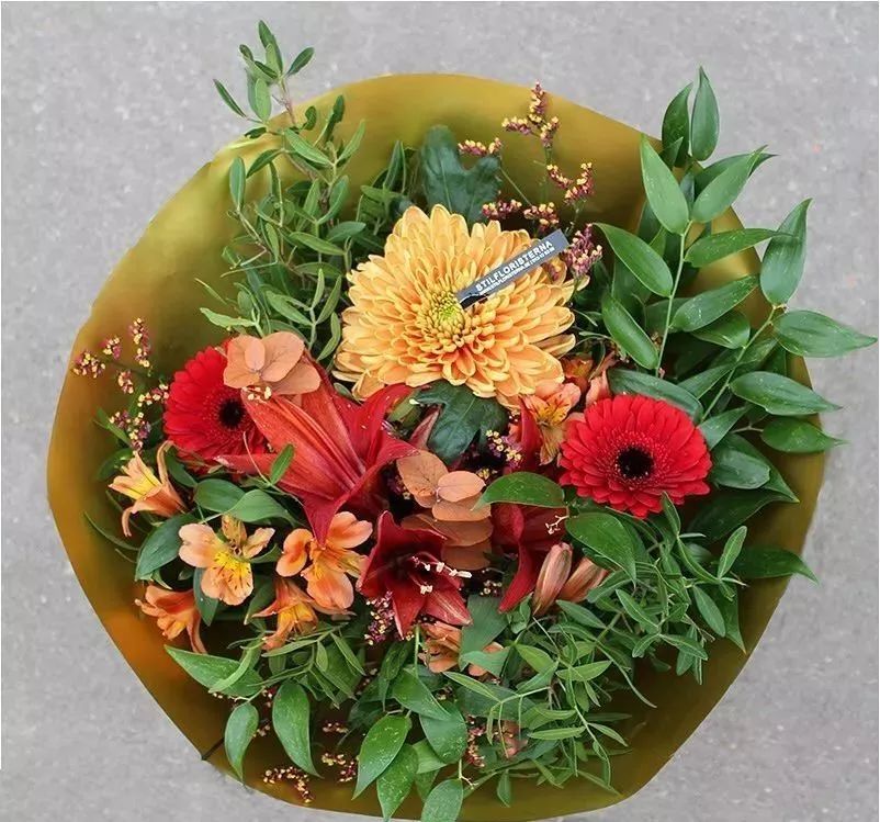 环保花束的趋势,创意环保花束