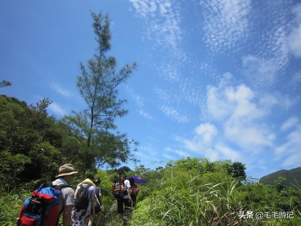 端午可以去的小岛,珠海端午出游攻略