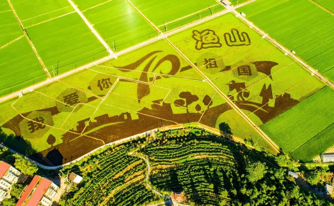 震撼！钱塘江畔出现巨型画作，有28个足球场这么大！