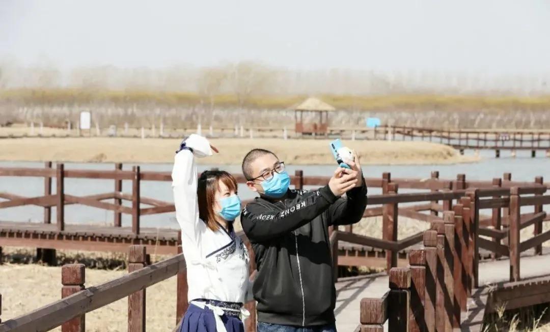 天津春暖花开西沽公园,天津开放的湿地生态公园